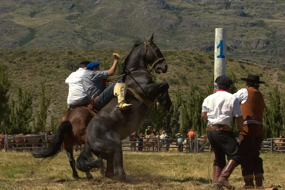 Úrok P.a. Výpočet
