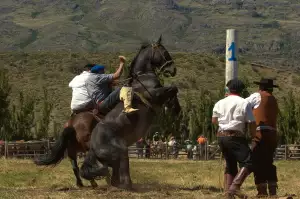 Úrok P.a. Výpočet