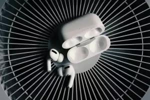 Jak Vyrobit Budku Pro Ptáčky