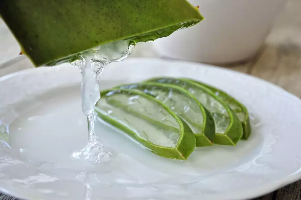 Jak Zpracovat Aloe Vera